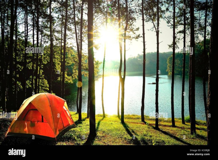 Красивый вид из палатки