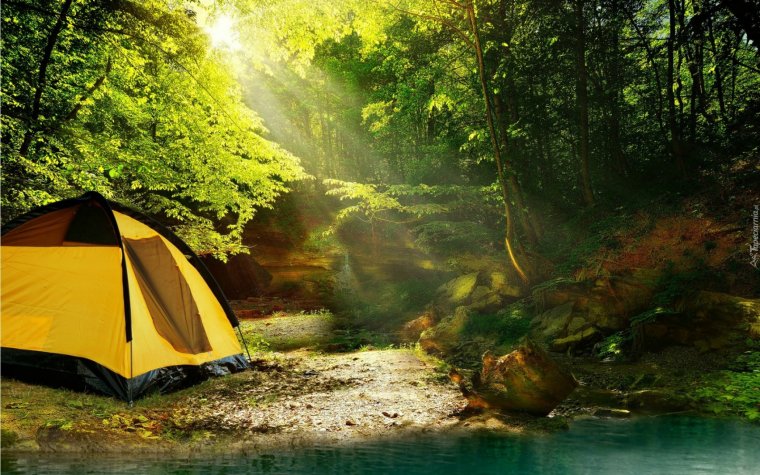 Туристическая палатка на природе