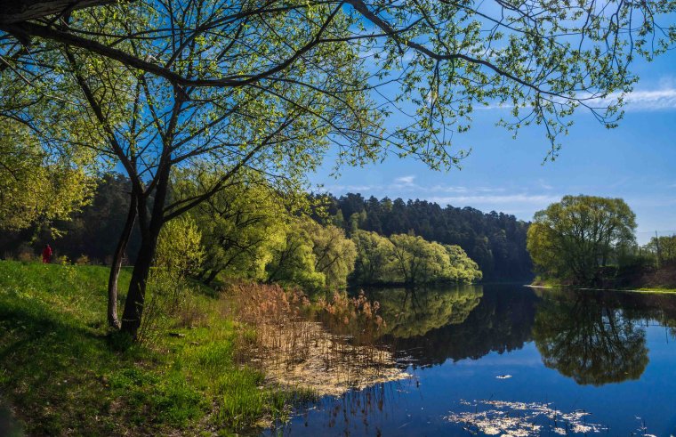 Река Пахра Подольск