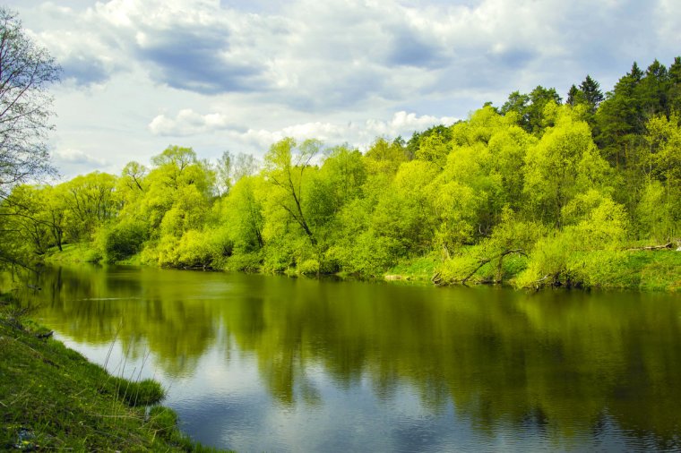 Река Пахра Подольск