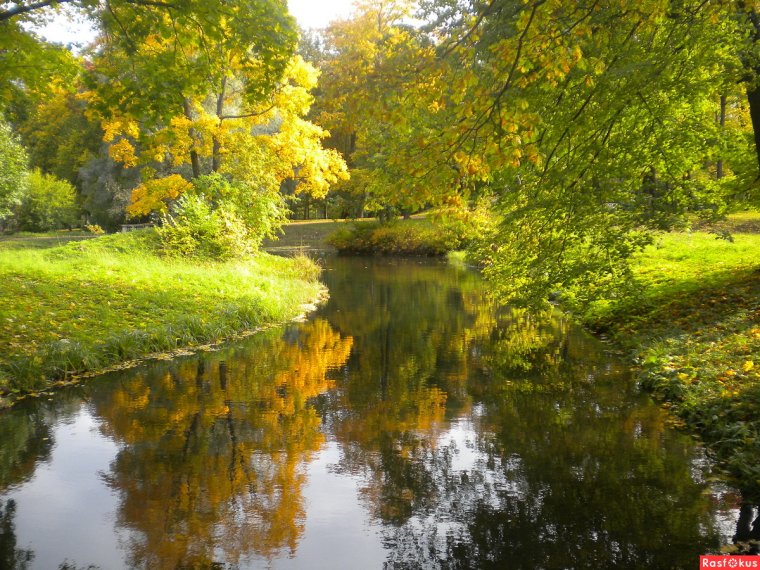 Красивые пейзажи Подольска осенью