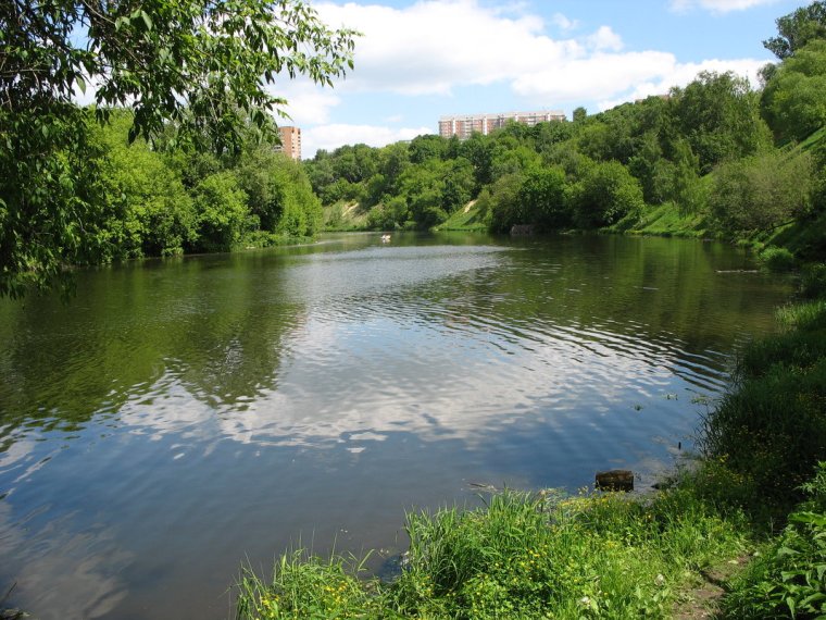 Река Пахра в Московской области