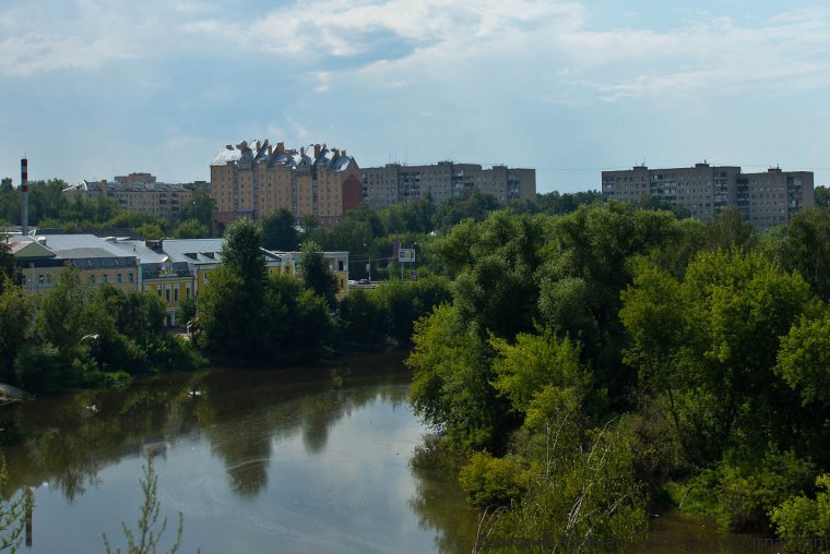Лес Подольского района