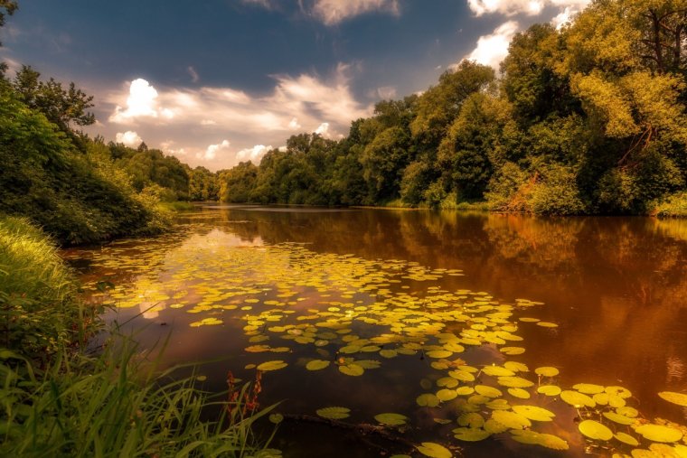 Река Десна Подольск