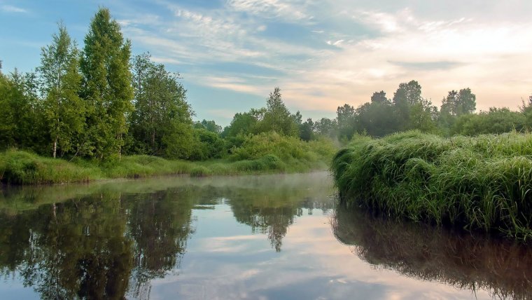 Дубровицы Подольск