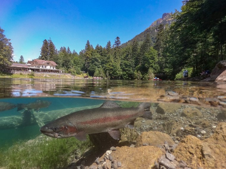 Озеро Блаузе Швейцария