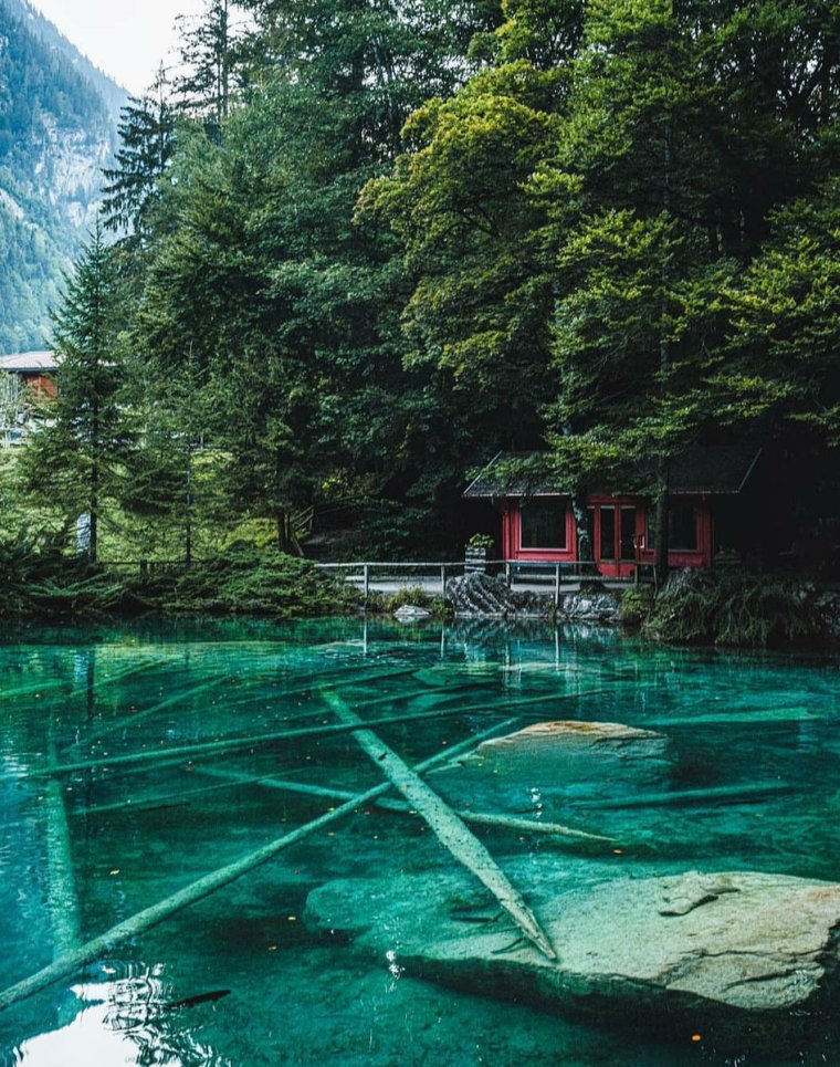 Блаузее реальные фото