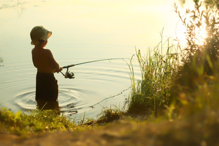 Утренняя рыбалка