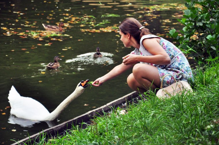 Люди на пруду