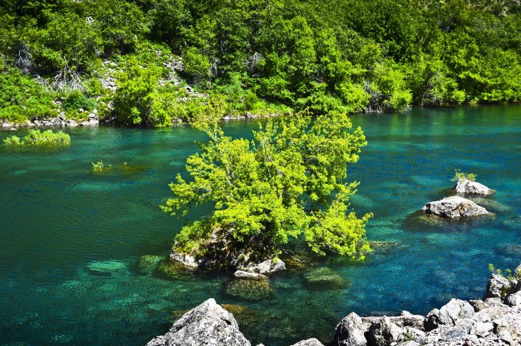 Ташкент Урунгач