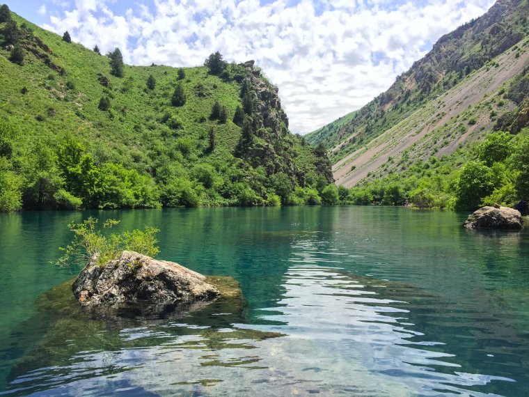 Узбекистан Ташкент природа