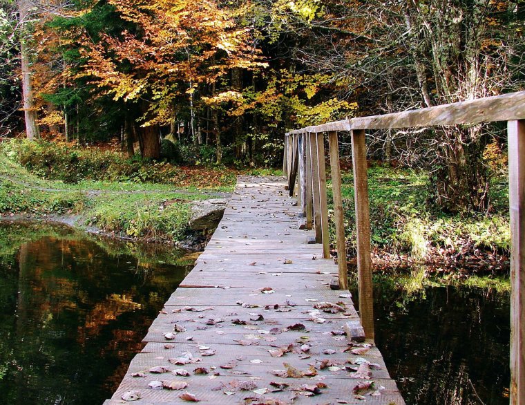 Деревянные мостки на реке