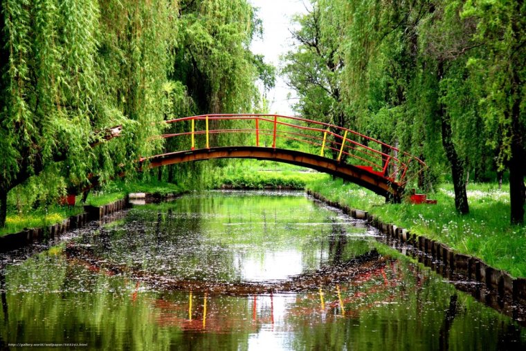 Воронцовский парк мостик