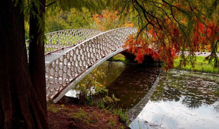 Парковый речка мост