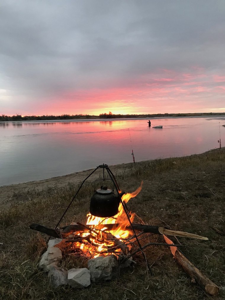 Красивый костер в лесу