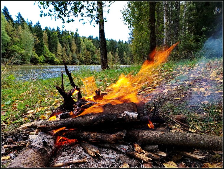 Костер в тумане