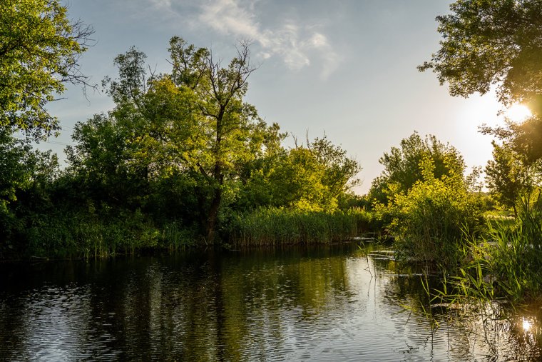 Каменск-Шахтинский природа