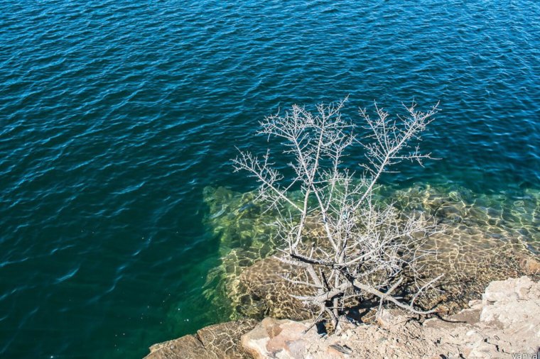Дикие озера Каменск-Шахтинский