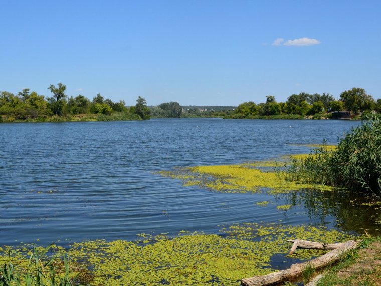 Река Донец Каменск-Шахтинский