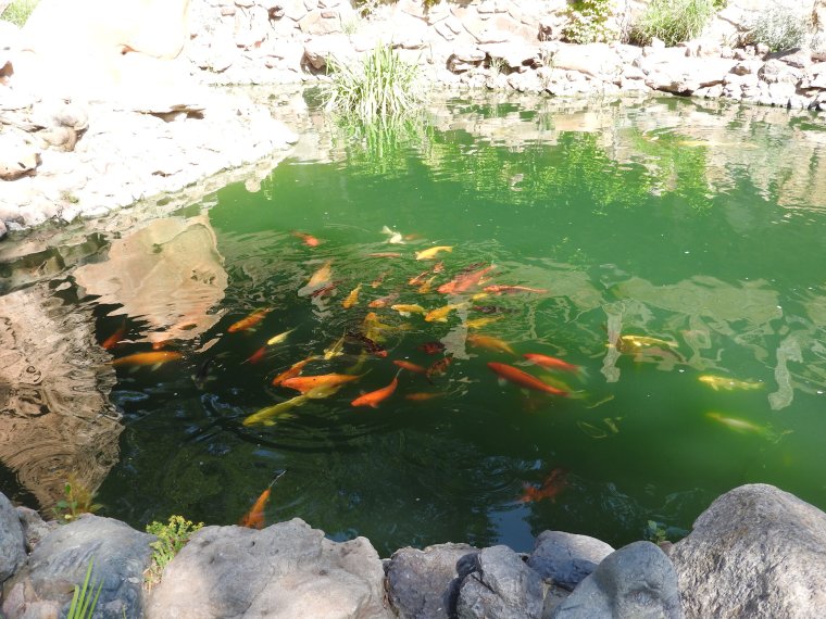 Длинный каньон в Ростовской области