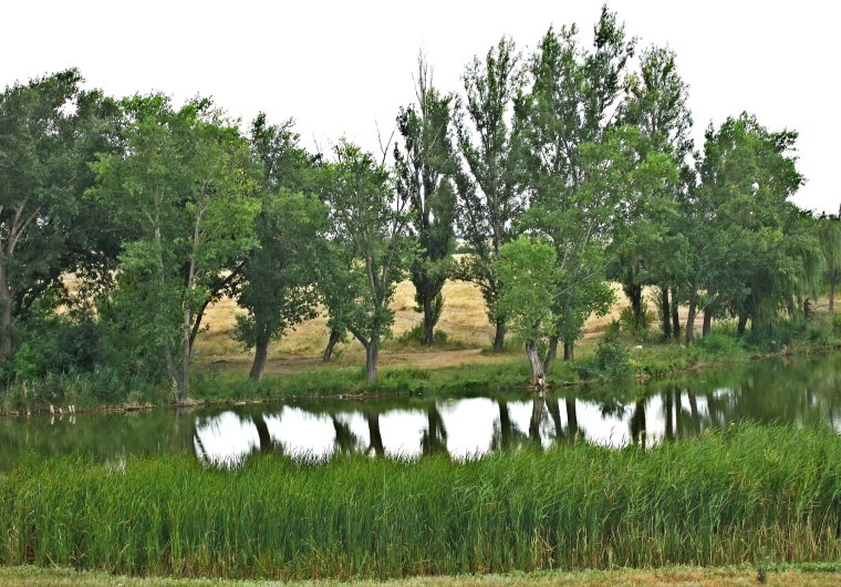 Каменск-Шахтинский голубые озера голубое озеро