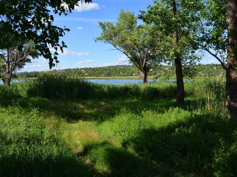 Река Донец Каменск-Шахтинский