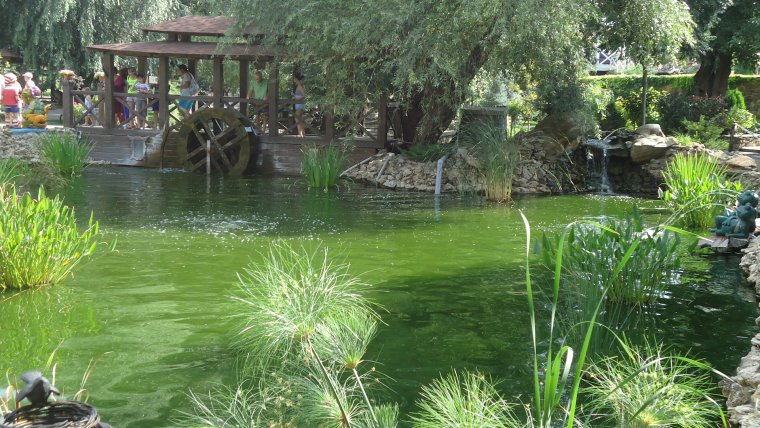 Река Донец Ростовская область