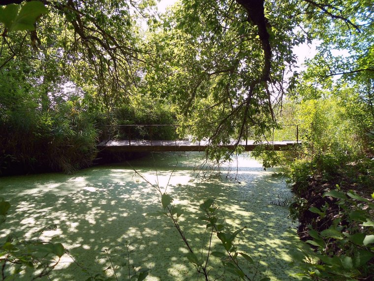 Каменск-Шахтинский река горячка