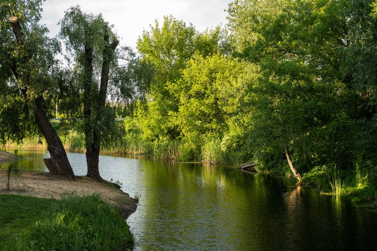 Излучина Каменск Шахтинский эко парк