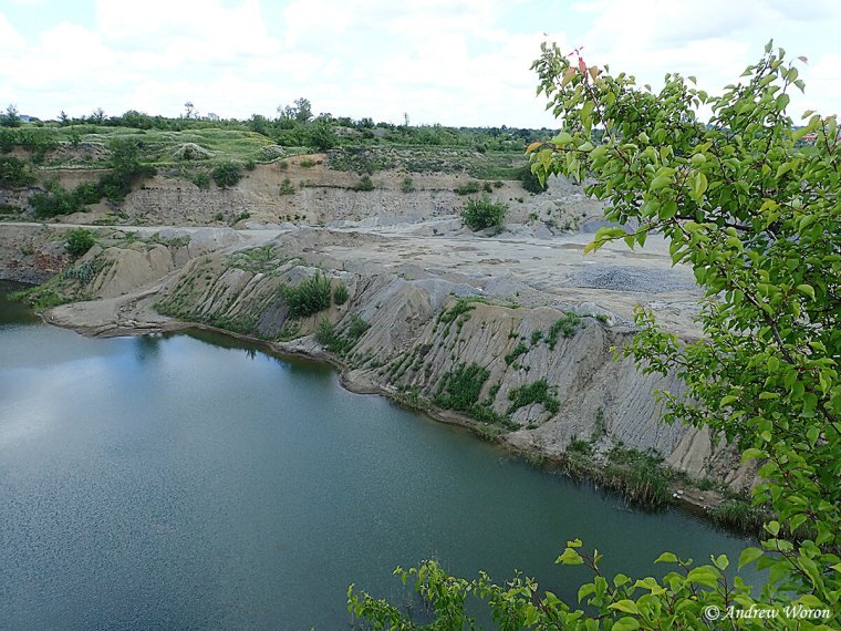 Логопарк Каменск-Шахтинский озеро