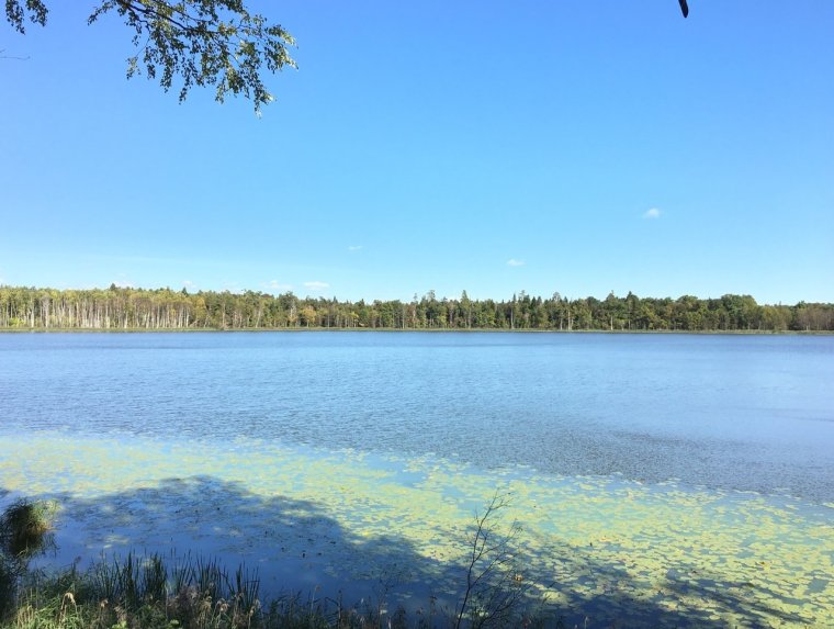 Озеро Себеж Псковская область