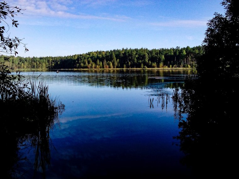 Черное озеро Подмосковье