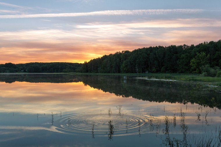 Озеро Шушер Марий Эл