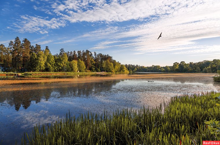 Валдай край озер
