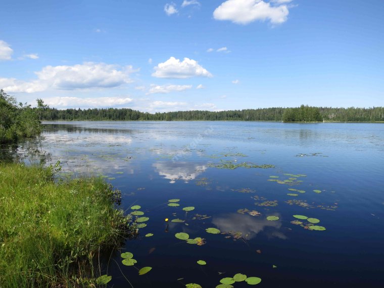 Балтимор озера