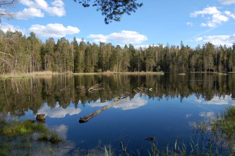 Замерзшее озеро Финляндия