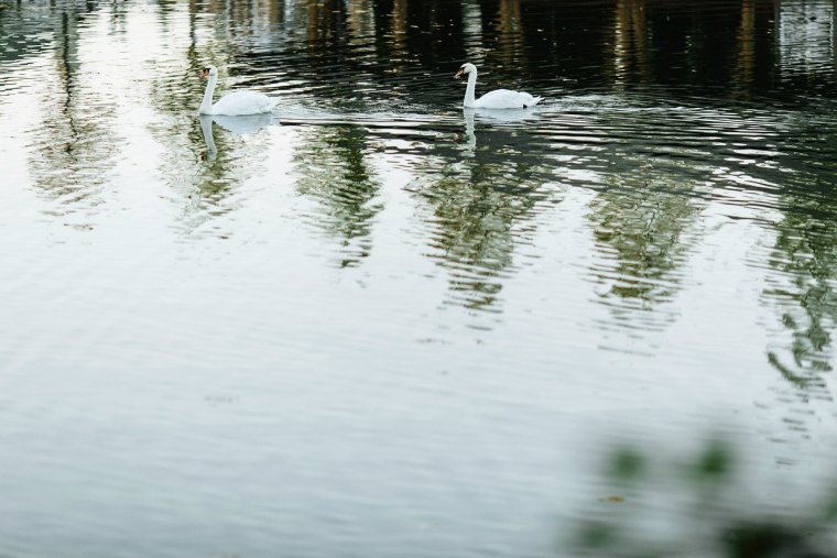 Сокольи озера Ленинградская