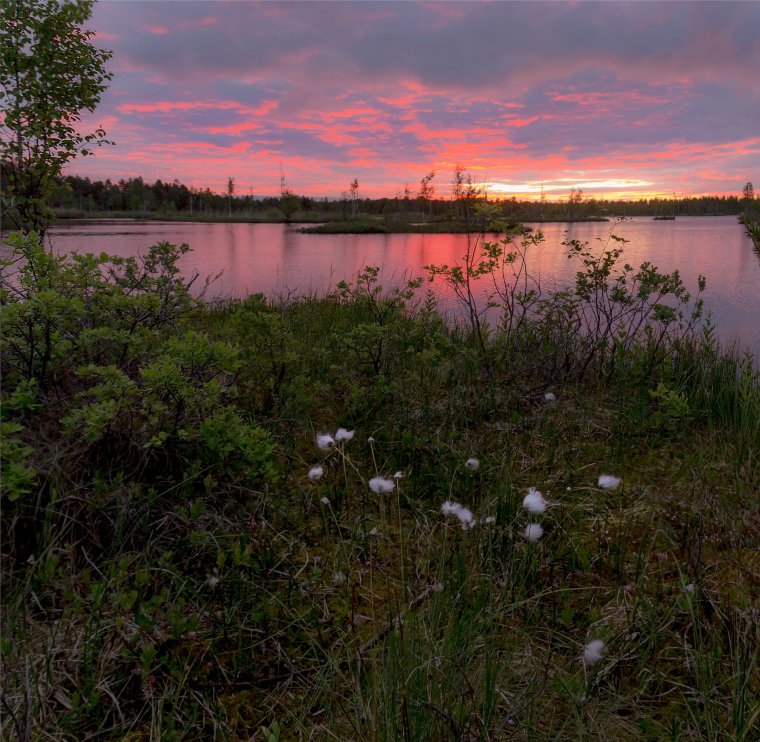 Озеро Сандал Карелия