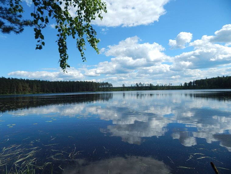 Озеро Вуокса Ленинградская область