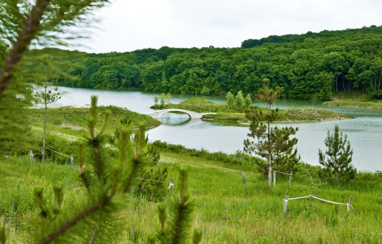 Молдаванское озеро Крымский район