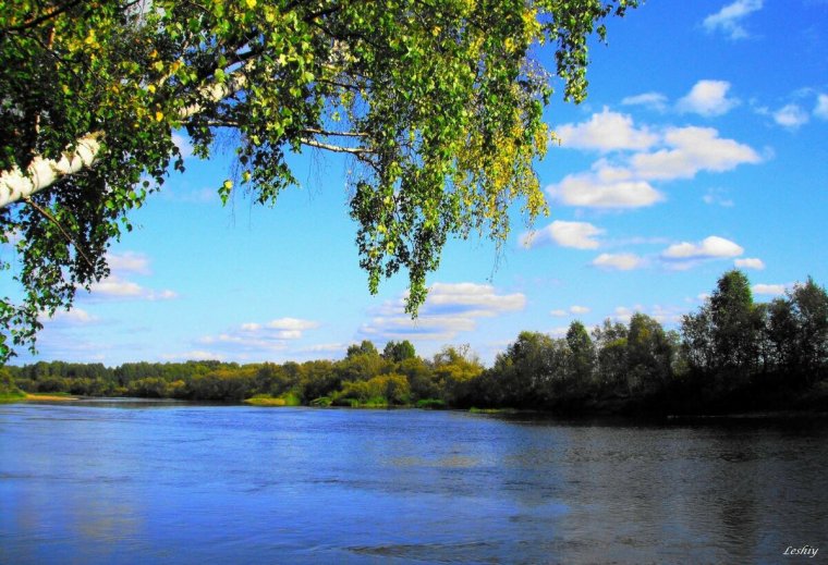 Волга река Березка