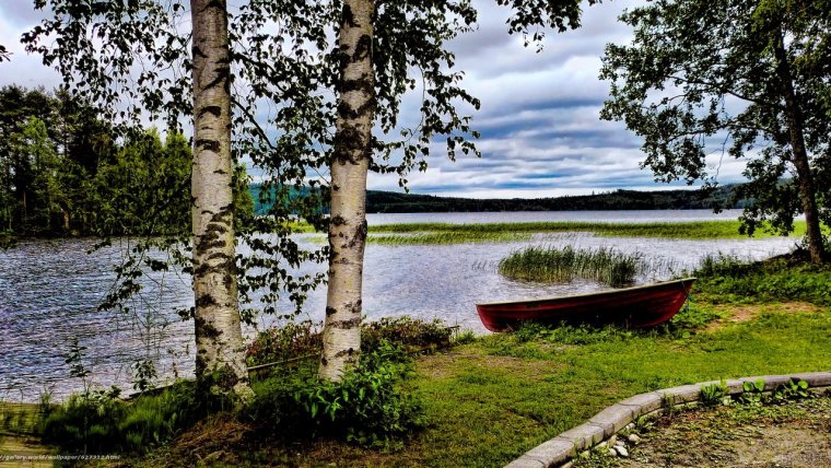 Волга река Березка