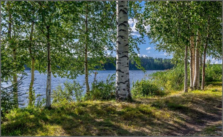 Волга река Березка