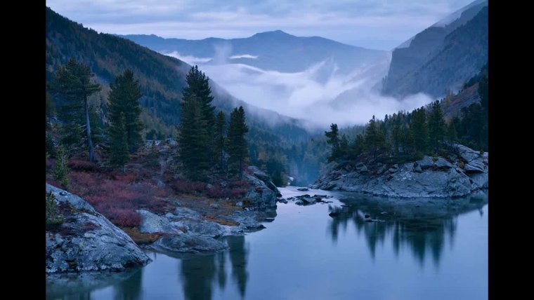 Форкс Сумерки пейзаж