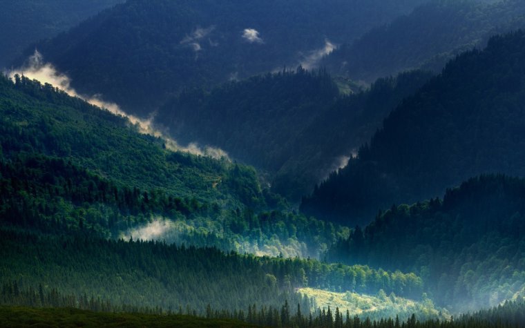 Зеленые горы в тумане