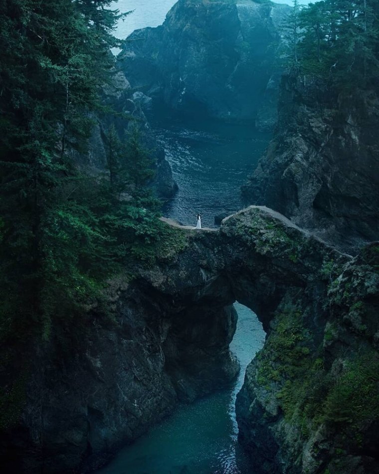 Форкс штат Вашингтон