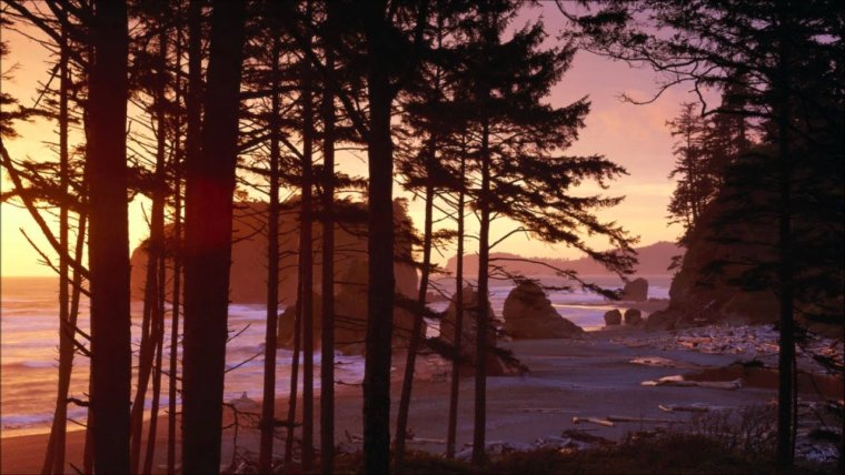 Пейзажи из фильма Сумерки