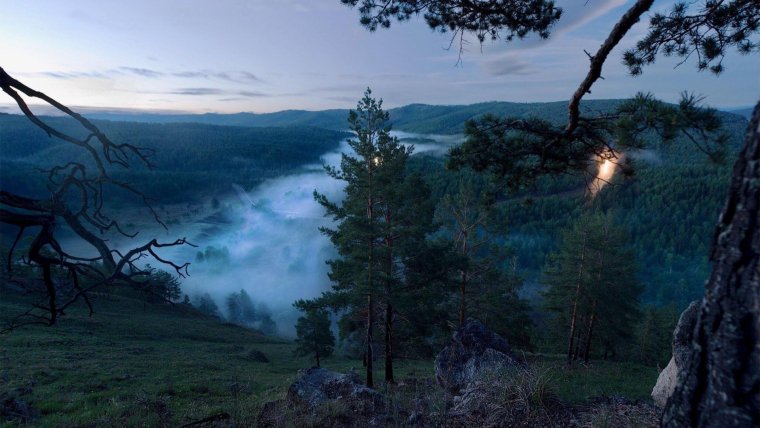 Эстетика Сумерки лес