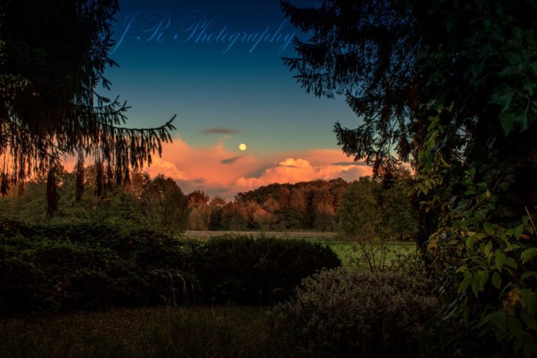 Лесная опушка Сумерки