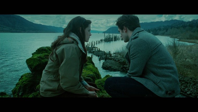 Сумерки лес в фильме